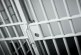 Federales sentencian a “Peluche” a 21 años de cárcel