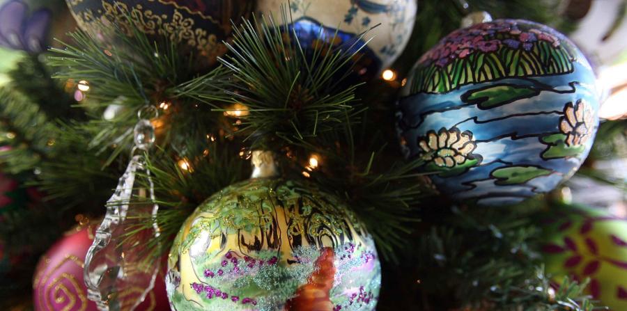 Roban decoración navideña de dos casas en Toa Baja