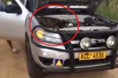 Una familia halló una enorme pitón bajo el cofre del carro en Zimbabue (Video)