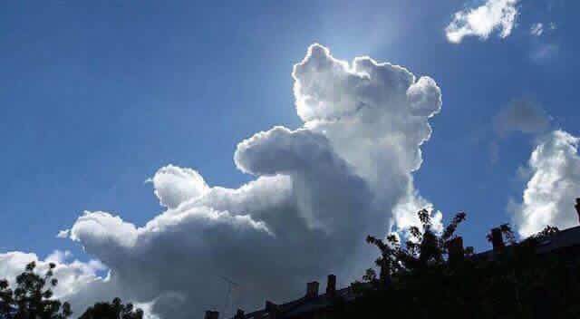 Nube en forma de WinniePooh aparece en un evento de caridad para niños