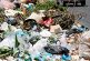 EPA y el Municipio de Río Grande unen esfuerzos para recoger desperdicios domésticos peligrosos