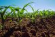 Departamento de Agricultura urge sobre la protección de la producción agrícola ante la temporada de huracanes