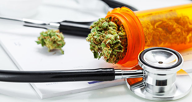 Alegan alza significativa en quejas de pacientes de cannabis medicinal contra sus patronos
